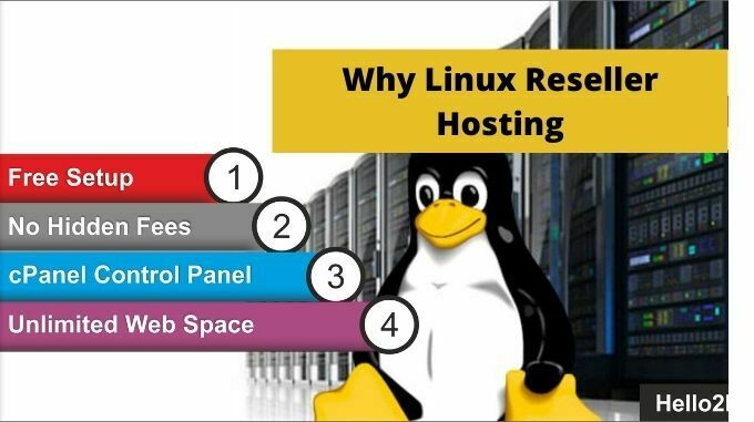 Why to choose this web hosting?